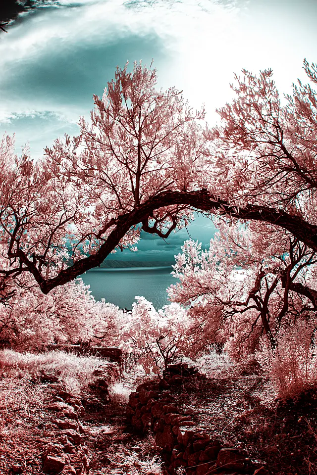 Urteil Finanzamt Lahr2