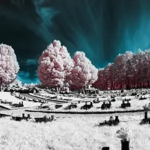 Geburtsurkunde Annahme für Wert