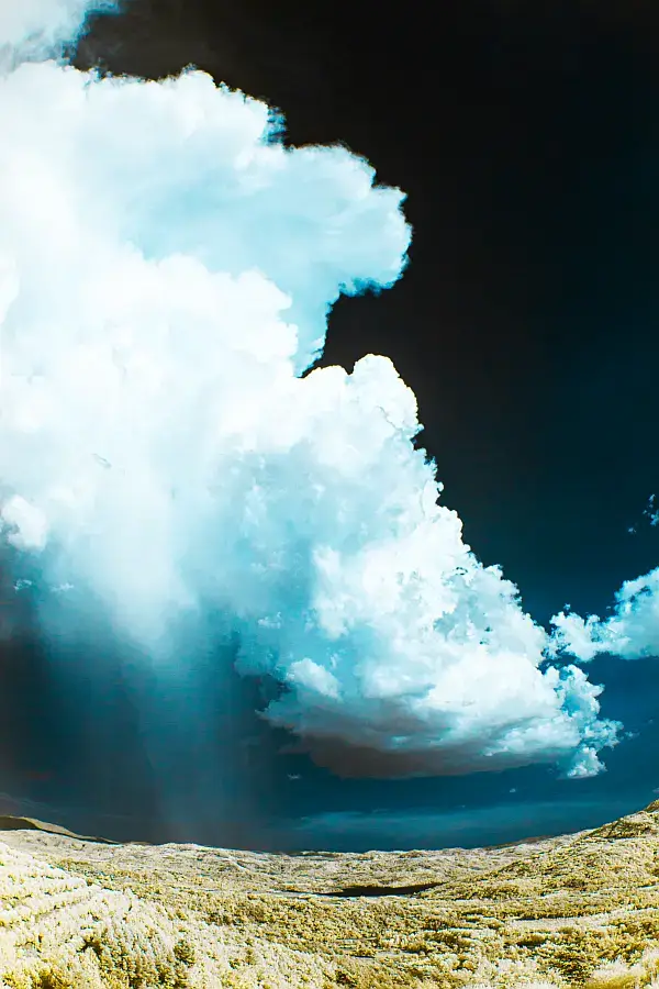 Wertannahme Geburtsurkunde